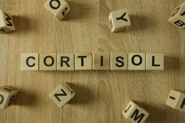 The Hidden Connection: How Stress Shapes Your Fitness and Body Composition 2 Image saying "Cortisol" and how stress Wales impacts your wellbeing and bodies shape